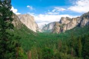 «По зову природы» - экскурсия из Сан-Франциско в национальный парк Йосемити (фото 6)